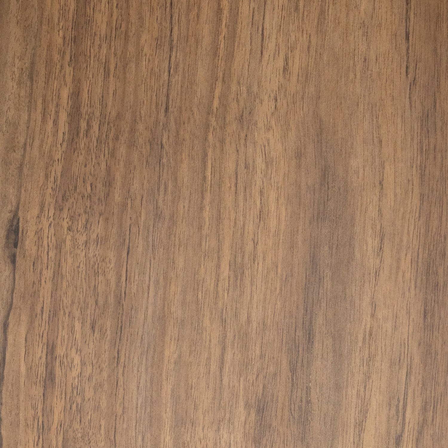 Sample of Puriri Timber